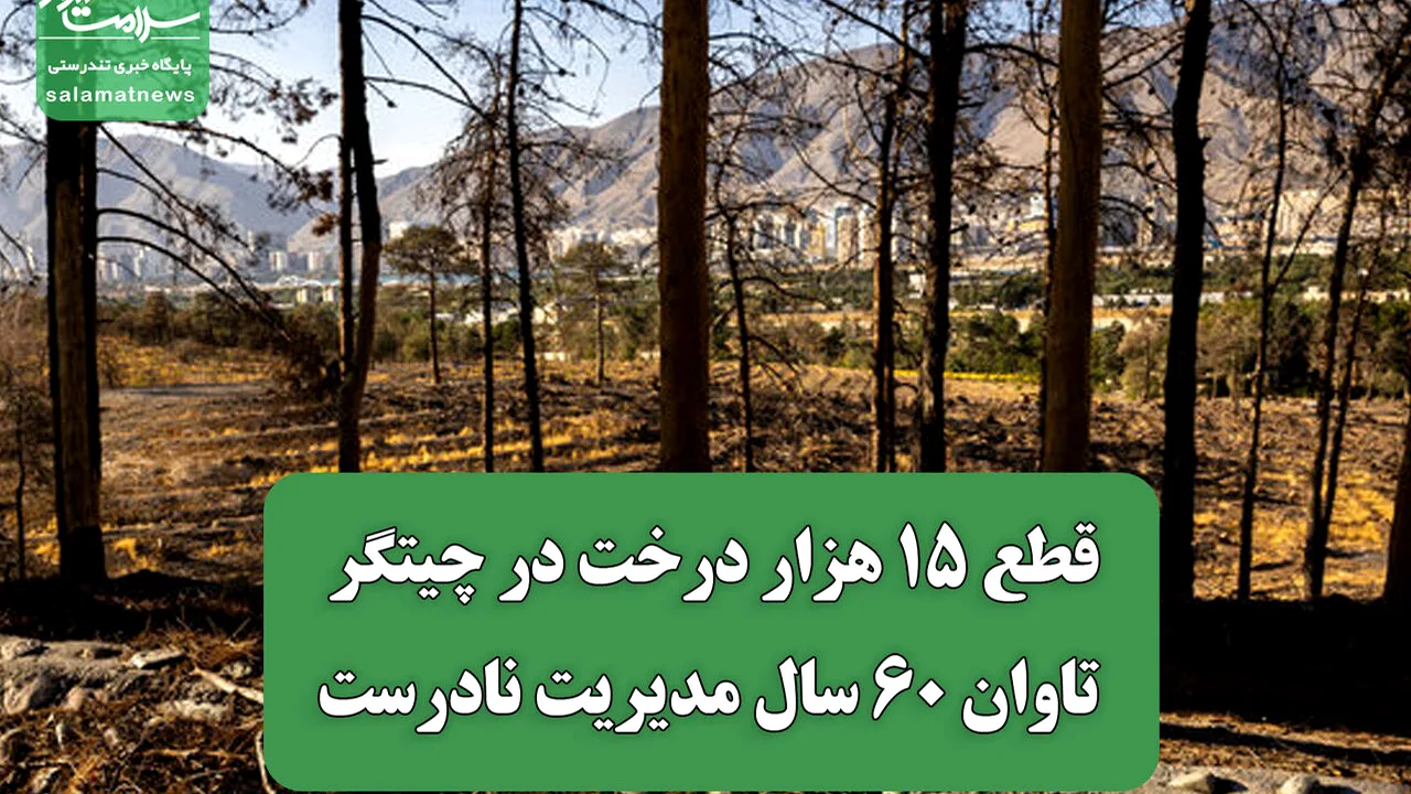 چیتگر؛ زنگ خطر برای هزاران درخت در پایتخت