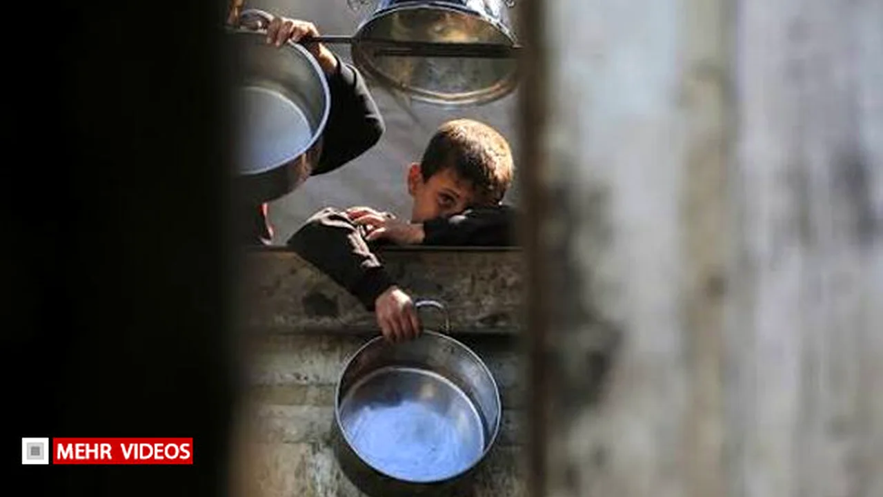 بقایی: نسلکشی در غزه همچنان ادامه دارد