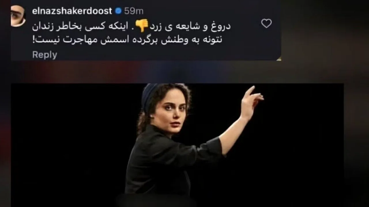 واکنشها به کامنت جنجالی الناز شاکردوست