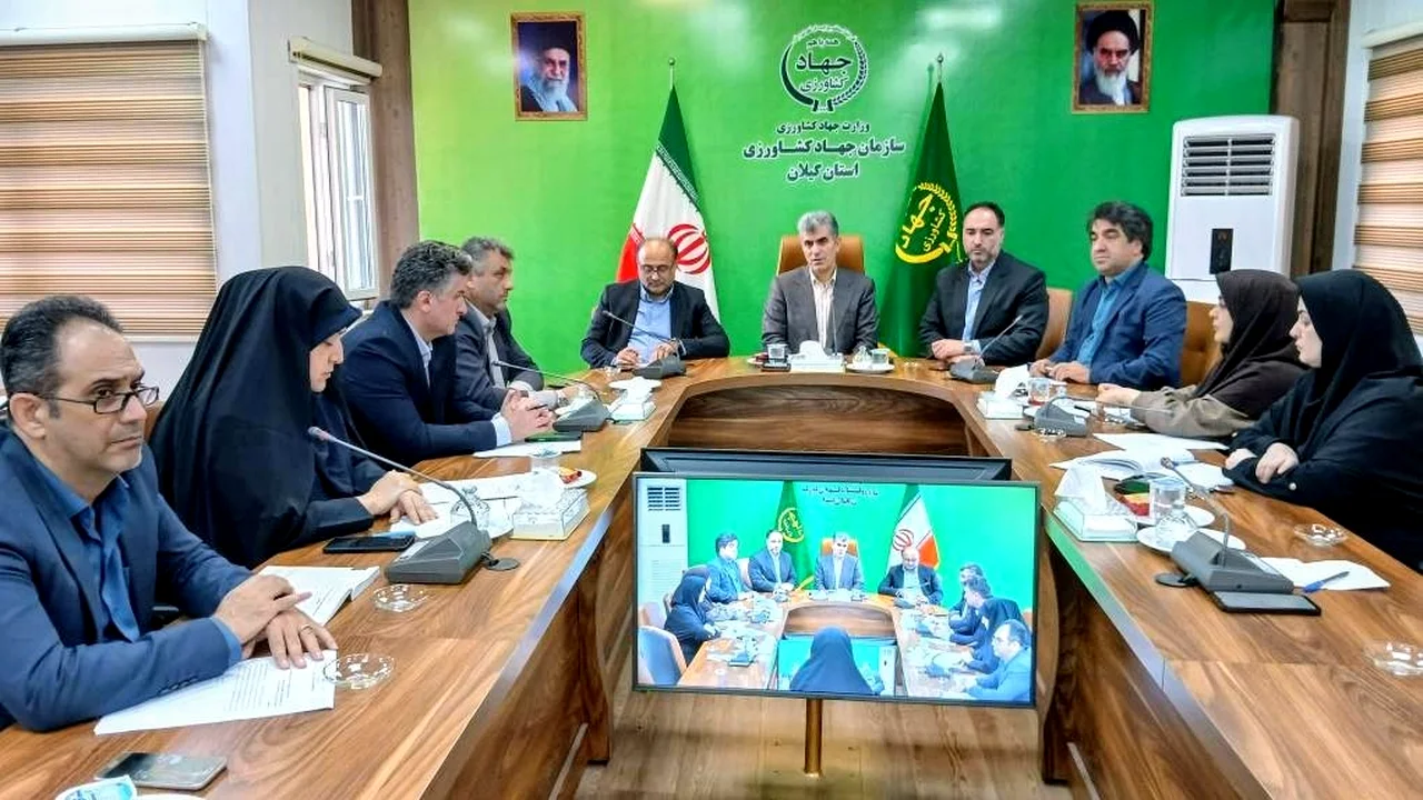 مدیرکل میراثفرهنگی گیلان از نقشهای خبر داد که میتواند چهره روستاهای استان را دگرگون کند؛ ماجرا چیست؟