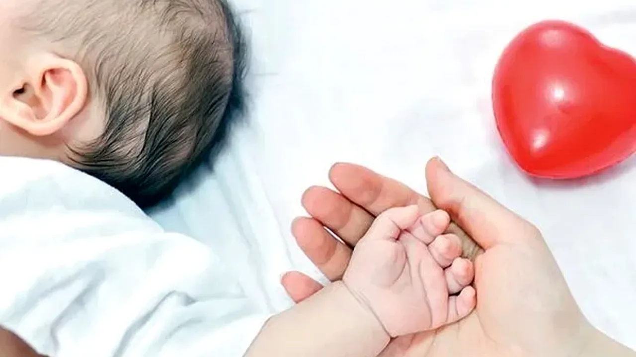 اعتبار خرید ماهانه شهرداری تهران برای مادران تازهفرزند