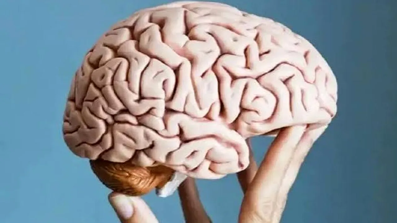 ردیاب تناسب اندام؛ کلیدی برای پیشبینی سلامت مغز