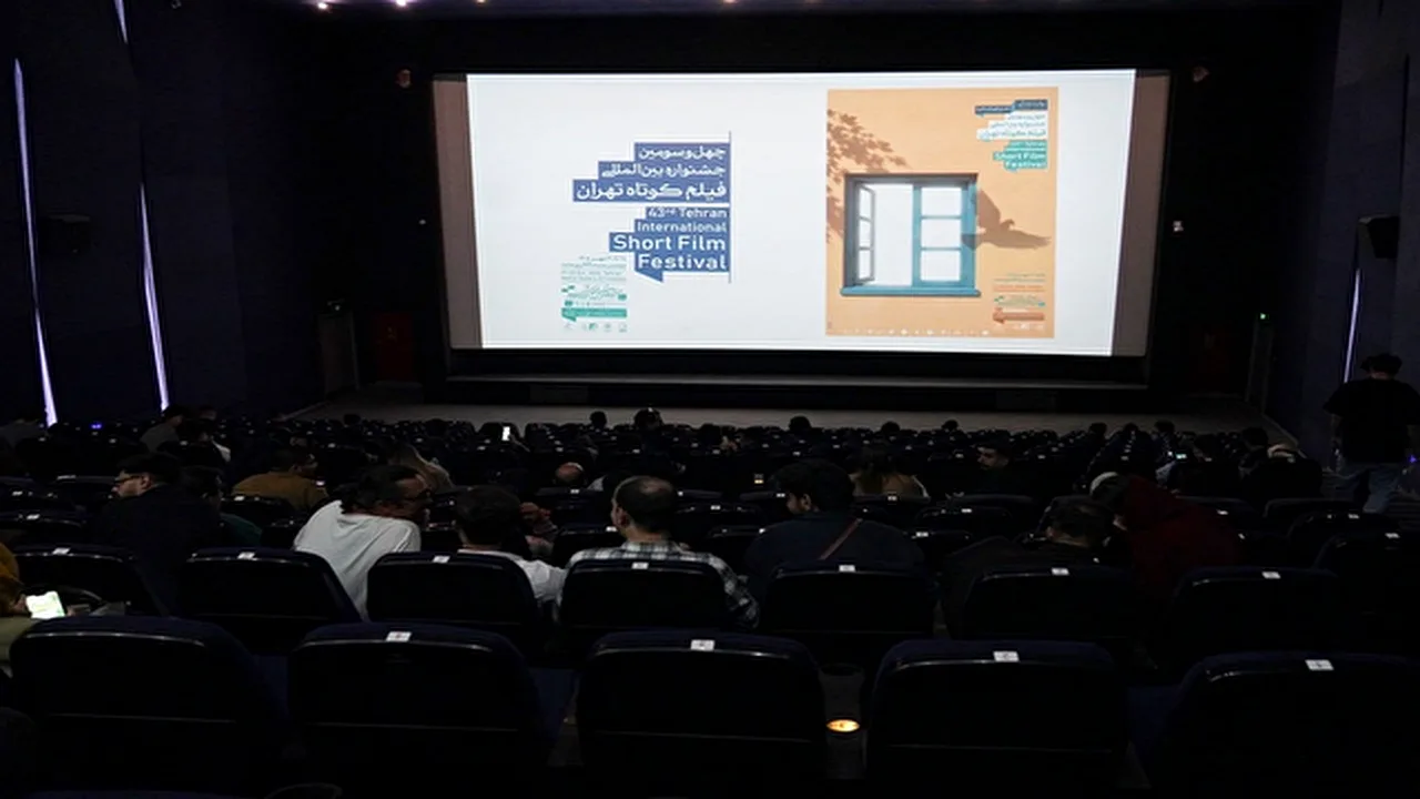 استقلال هنری فیلم کوتاه؛ فرصتها و چالشهای ورود به سینمای بلند
