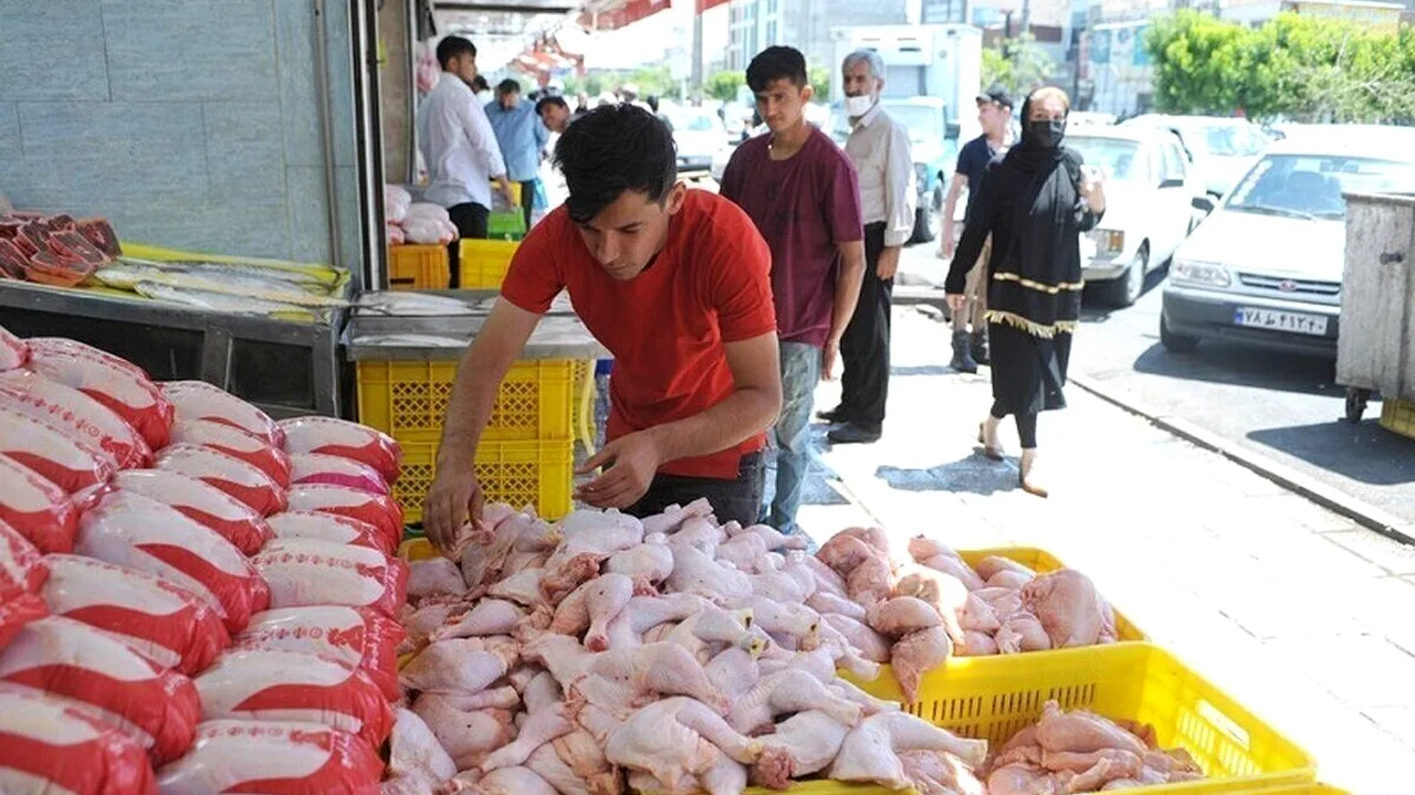 مرغ ۳۳۰ هزار تومانی؛ نوسان قیمت در بازار گوشت