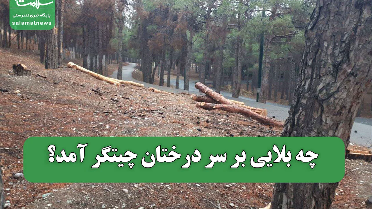 راز خشک شدن ریههای تهران؛ چرا بولدوزرها به چیتگر رسیدند؟