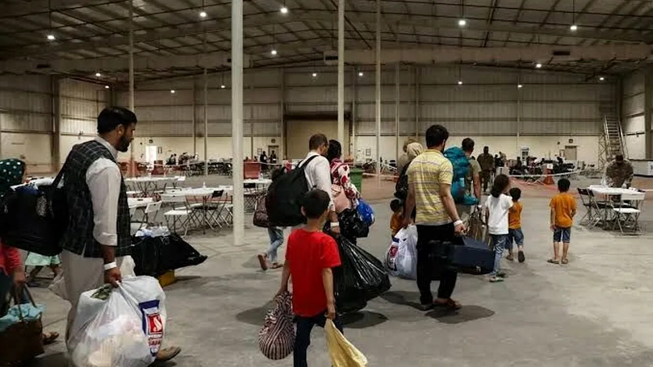 پرواز اخراج پناهجویان افغان به پاکستان؛ نگرانیها از خطرات پنهان