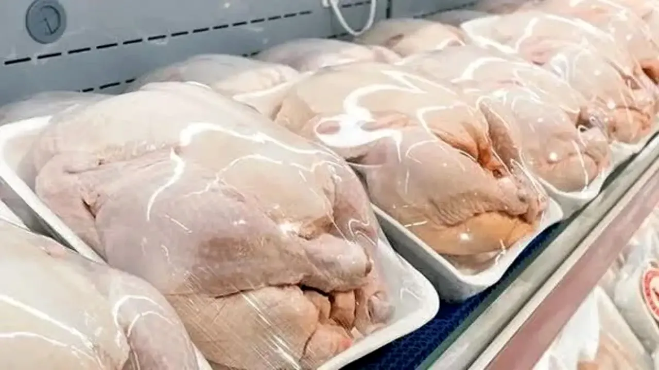 افزایش تولید مرغ و گرانی؛ معمای سفرههای خالی