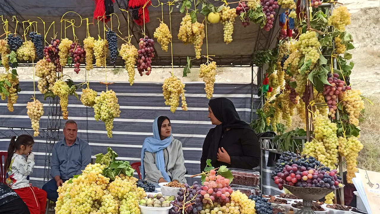 ثبت جشنواره انگور ارومیه در تقویم گردشگری؛ چه تغییری در راه است؟