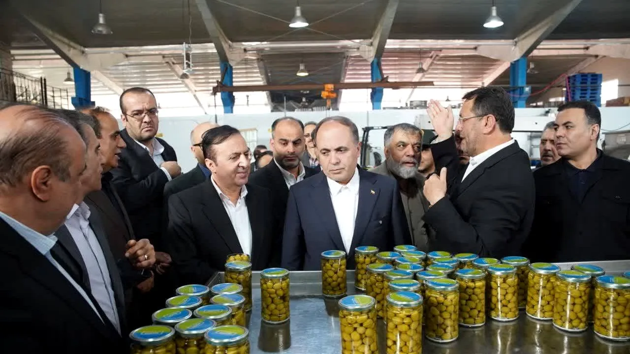 طارم سفلی میزبان جشنواره ملی زیتون با حضور وزیر کشاورزی
