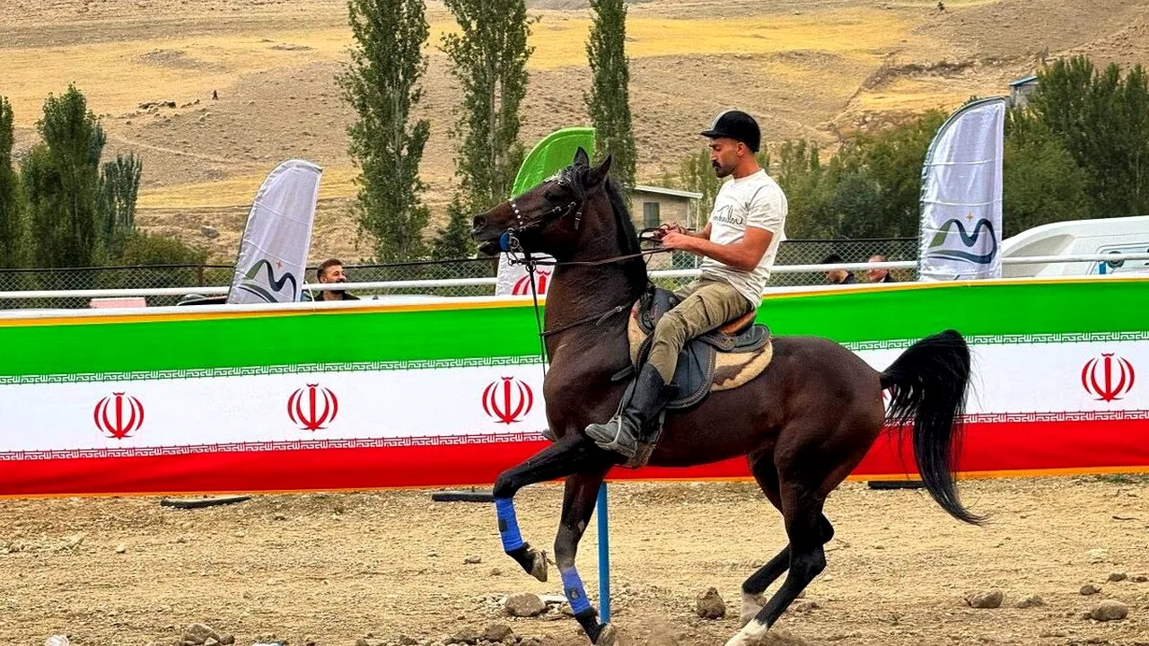 همایش شو سواره با حضور ۶۰ اسب در ماکو