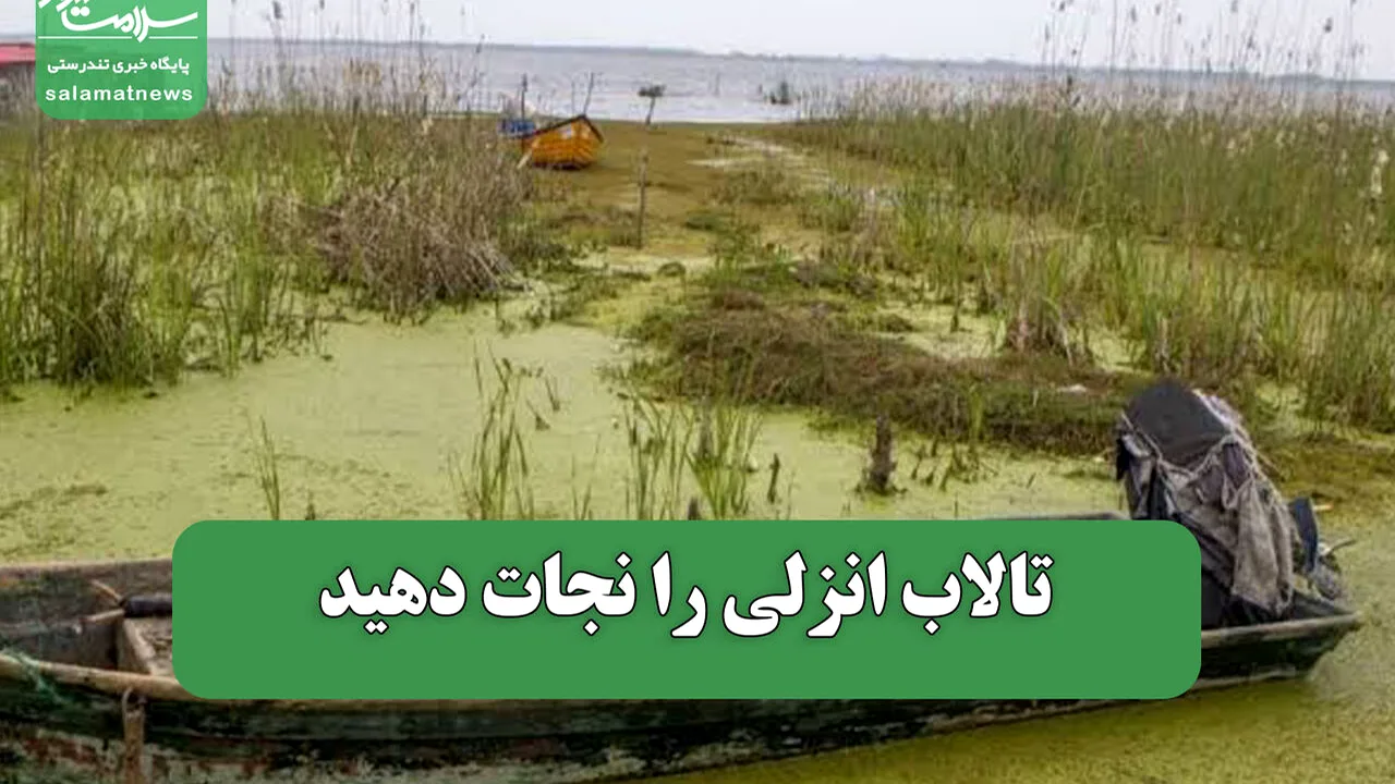 آینده مبهم تالاب انزلی؛ خشکی جای آب را میگیرد