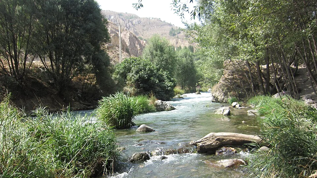 درختان حاشیه رودخانه مازندران؛ طلب چوب یا تخریب محیط زیست؟